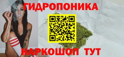 сатива Кумертау