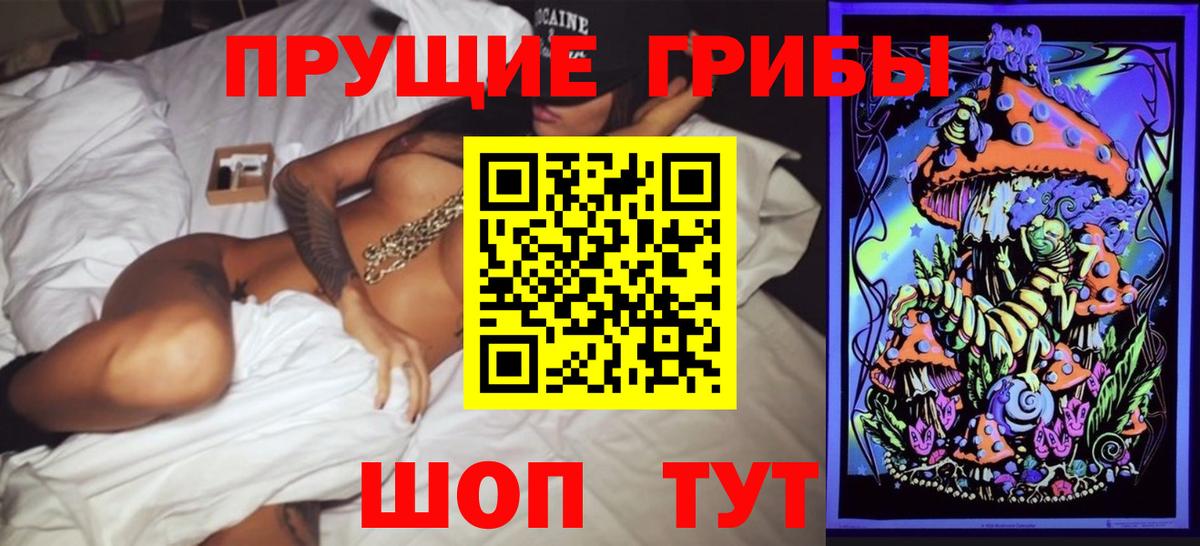 Котовск  Псилоцибиновые грибы мицелий  где купить наркоту  Псилоцибиновые грибы мицелий  Вход с VPN 